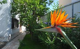 Manelisa Cascais